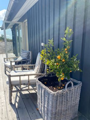 Sommarhus i Bohuslän med havsutsikt och pool - Bild 32