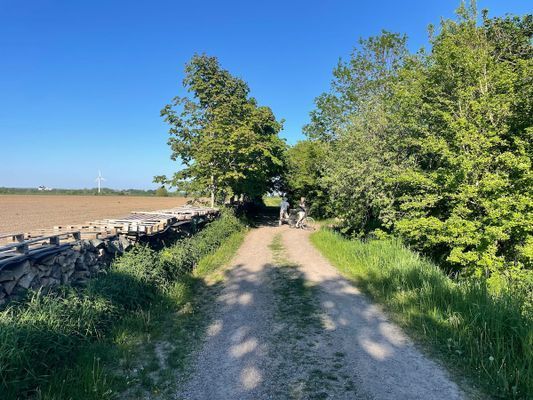 Stuga i Strandbaden nära Kullen och Höganäs - Bild 16