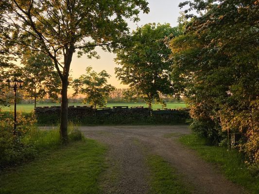 Stuga i Strandbaden nära Kullen och Höganäs - Bild 15