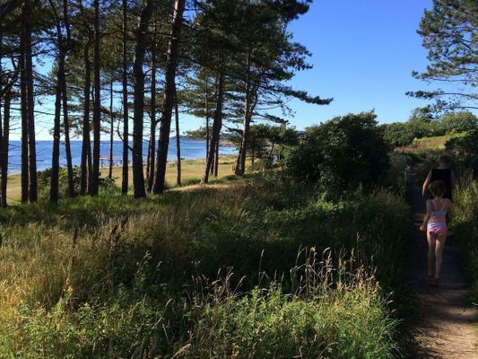 Stuga i Strandbaden nära Kullen och Höganäs - Bild 25