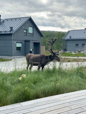 Tänndalen, Ny Fjällstuga mitt i fjällanläggningen - Bild 26