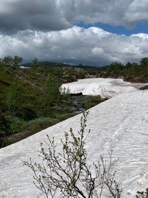 Fin lägenhet nära till slalombacken Grövelfjäll - Bild 17