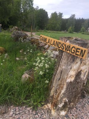 Liten charmig stuga i naturskön miljö,bad & fiske - Bild 11