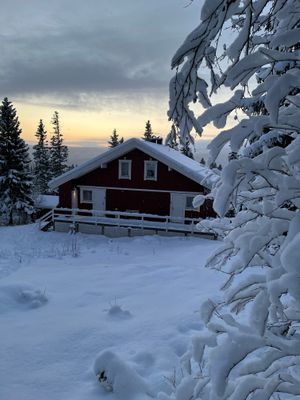 Ski in/out i Björnen. Ledigt över nyår - Bild 11