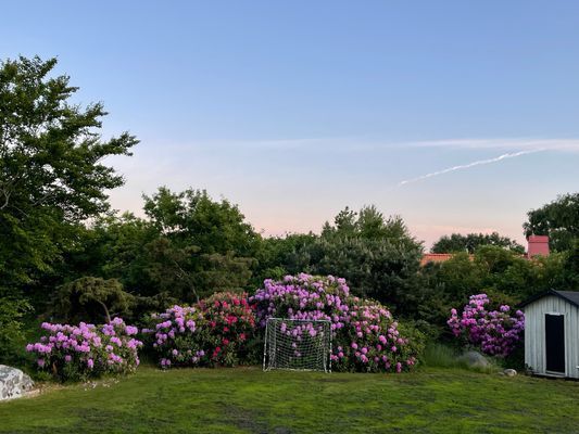 Strandnära hus i härliga Ringenäs, Halmstad - Bild 14