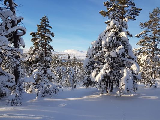 Nybyggd fjällstuga i Grövelsjön - Bild 26