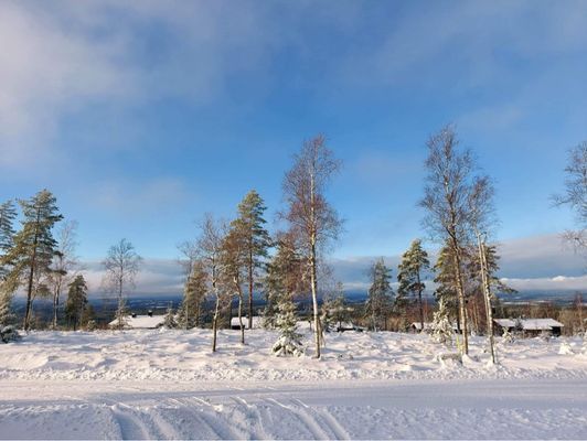 Fin stuga högst upp i Gillersklack stugby - Bild 31