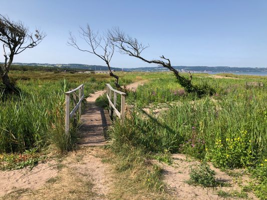 150 meter från stranden i södra Skummeslövsstrand! - Bild 23