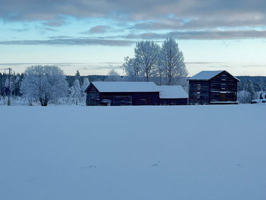 Hus med vita knutar i lantlig miljö