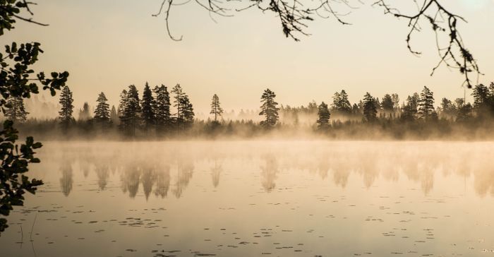 Torp med sjöläge vid kanotleden Svartälven, bastu - Bild 32