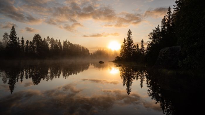 Torp med sjöläge vid kanotleden Svartälven, bastu - Bild 33