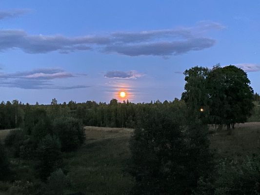 Hagen med kvällsmåne