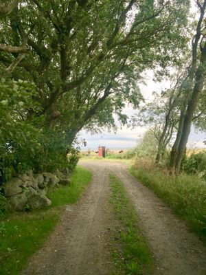 Vägen ner mot havet