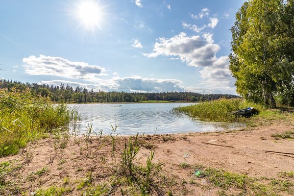 Stuga i naturen nära havet ideal för bad, fiske - Bild 13