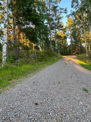 Mysig stuga i Smålands skogar - Bild 9