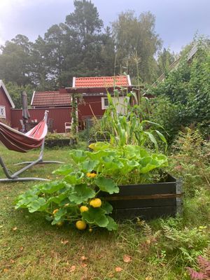 Bild 4 på Liten stuga på Värmdö i bullerbystil uthyres