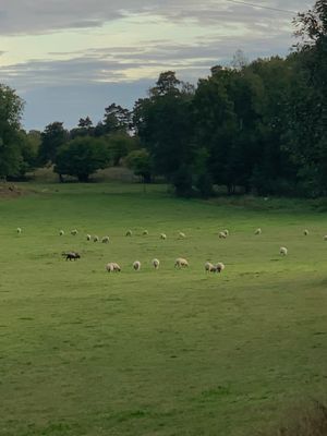 Liten stuga på Värmdö i bullerbystil uthyres