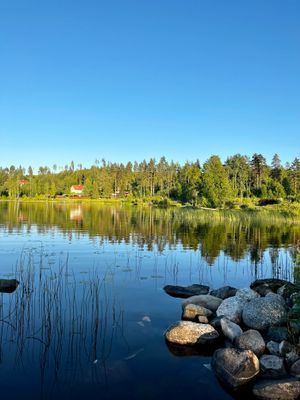 Stuga med strandtomt o söta ponnyer på gården - Bild 44