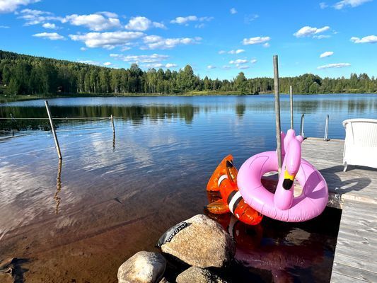 Stuga med strandtomt o söta ponnyer på gården - Bild 13