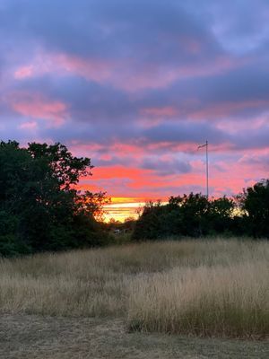 Norra Öland Stenkusten, Gudesjö, Löttorp - Bild 13