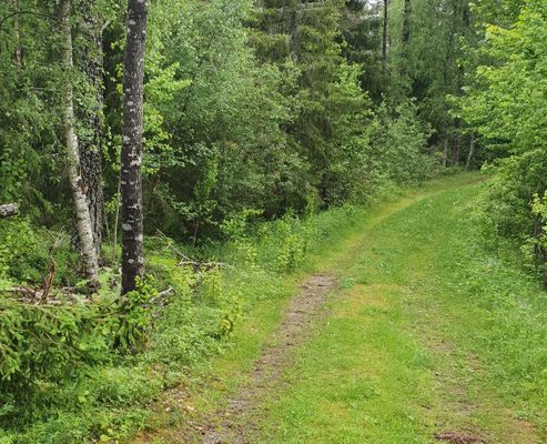 Timmerhus nära hav och skog - Bild 17