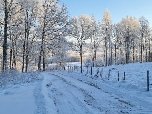 Ulricehamn- Dalum - Borås - Mysig Stuga - Bild 49