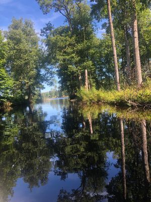 Stuga med sjötomt mitt i Småland - Bild 18