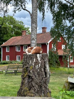 Stort hus på lantgård