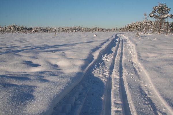 Stuga i smålandsskogen - Bild 28