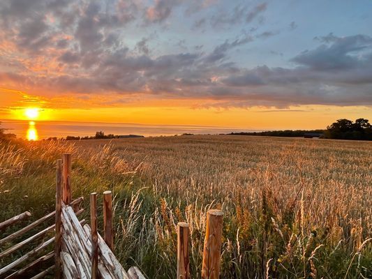 Panoramavy över Vättern-Nybyggd stuga nära Gränna