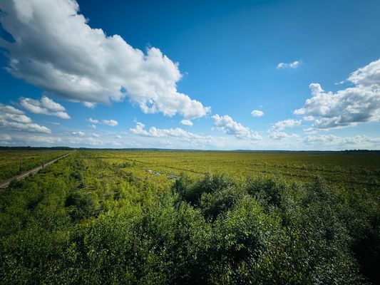 Naturskön stuga i avkopplande miljö - Bild 13