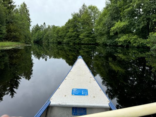 Naturskön stuga i avkopplande miljö - Bild 16