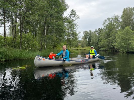 Naturskön stuga i avkopplande miljö - Bild 17