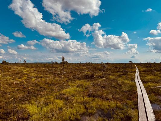 Naturskön stuga i avkopplande miljö - Bild 14