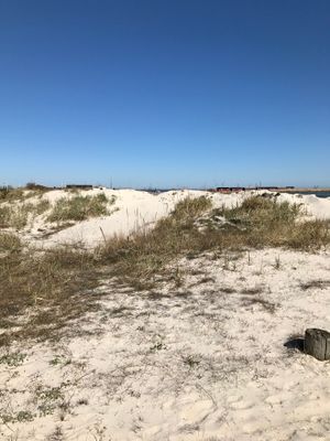 Sommarhus på Norra Öland havsnära med enskilt läge - Bild 24