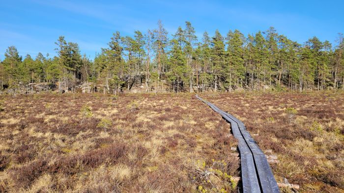 Stuga i Kolmården - Bild 17