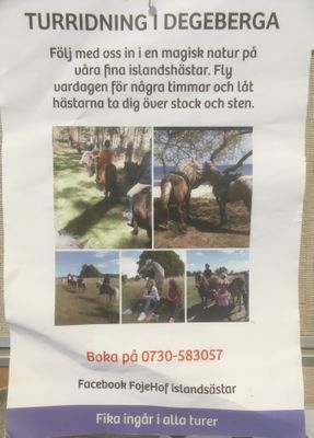 Utflykter med islandshästar 25 min