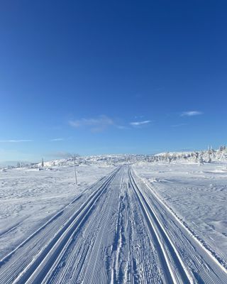 Ski-in-ski-out, Skalets torg - midt i smørøyet! - Bild 17