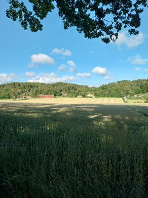 Sommarstuga vid Gullmarsfjorden på Bokenäset! - Bild 7