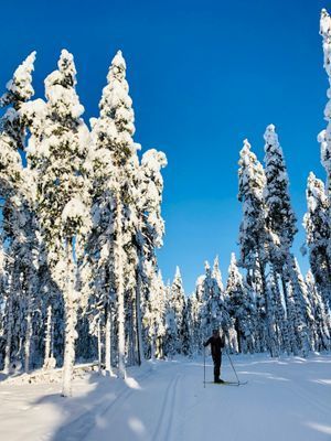 Granbergets längskidspår med sammanlagt drygt 30 km fina skidspår.
