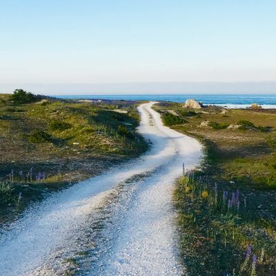 Kalkstenshus - nära havet och bistro - Bild 81