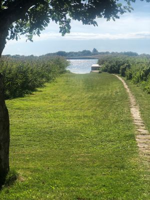 Fantastisk stuga vid havet! - Bild 19