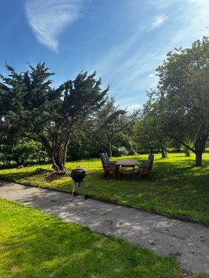 Lummig trädgård med möbler och grill