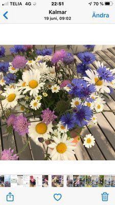 Fritidshus med unikt läge vid Kalmarsund - Bild 13