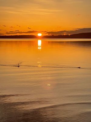 Unik Attefall med takterrass i Varamon - Bild 27