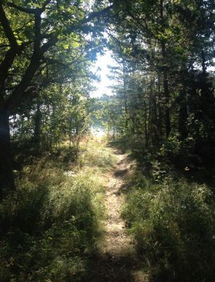 Sjönära stuga med veranda i kvällssol - Bild 19