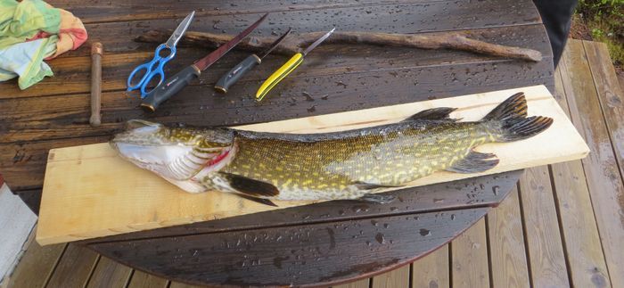 LAKE NISSÅNGEN - Strandtomt Bad Båt Bastu Fiske - Bild 22