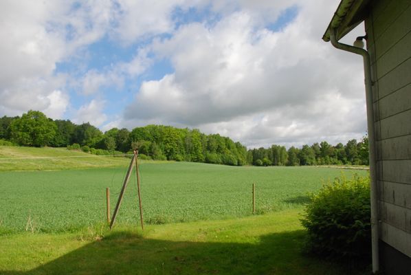 Vy norrut från huset