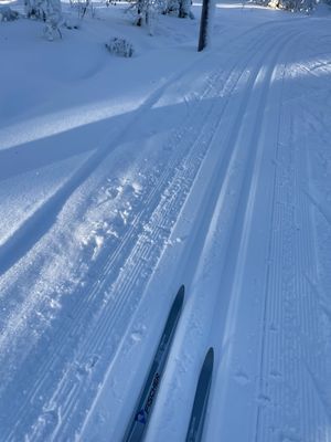 Mysig stuga i byn Löa i Bergslagen - Bild 48