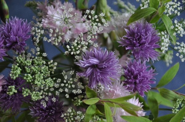 Strandnära vinterbonad stuga i Långasand - Bild 7